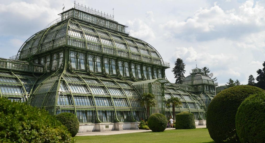 Interflora i Wien
